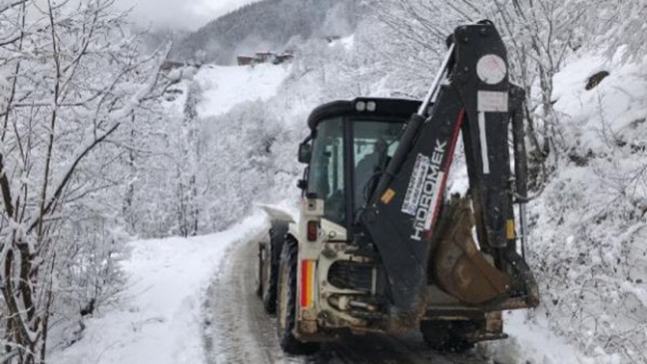Trabzon ve Rize'de kar yağışı nedeniyle yollar kapandı