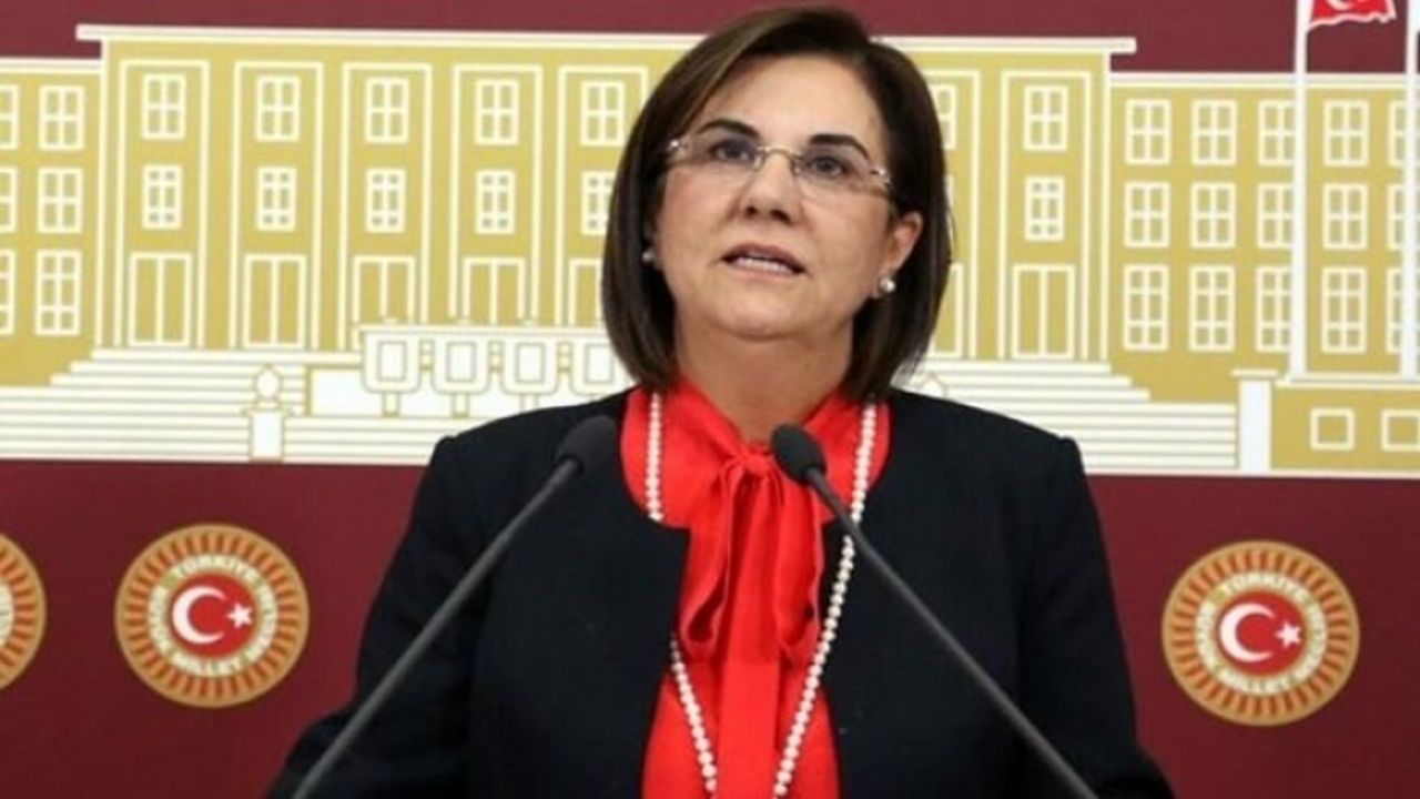 CHP'li Gaye Usluer partisinden istifa etti