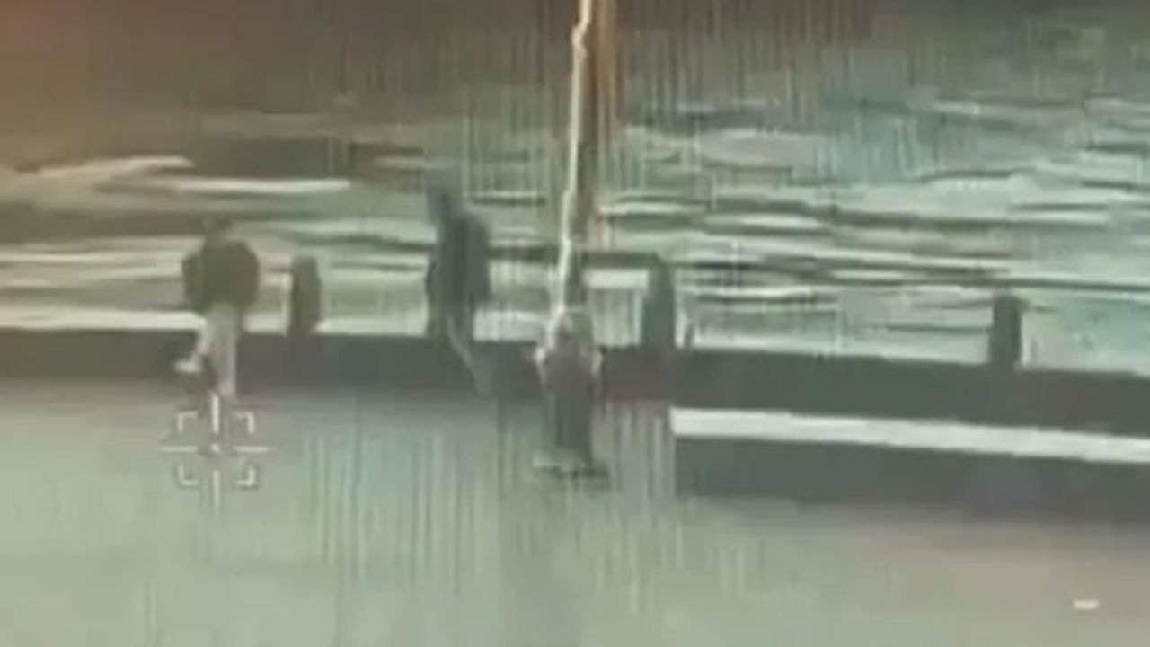 Sahilde oturan adamı denize atarak öldürdü