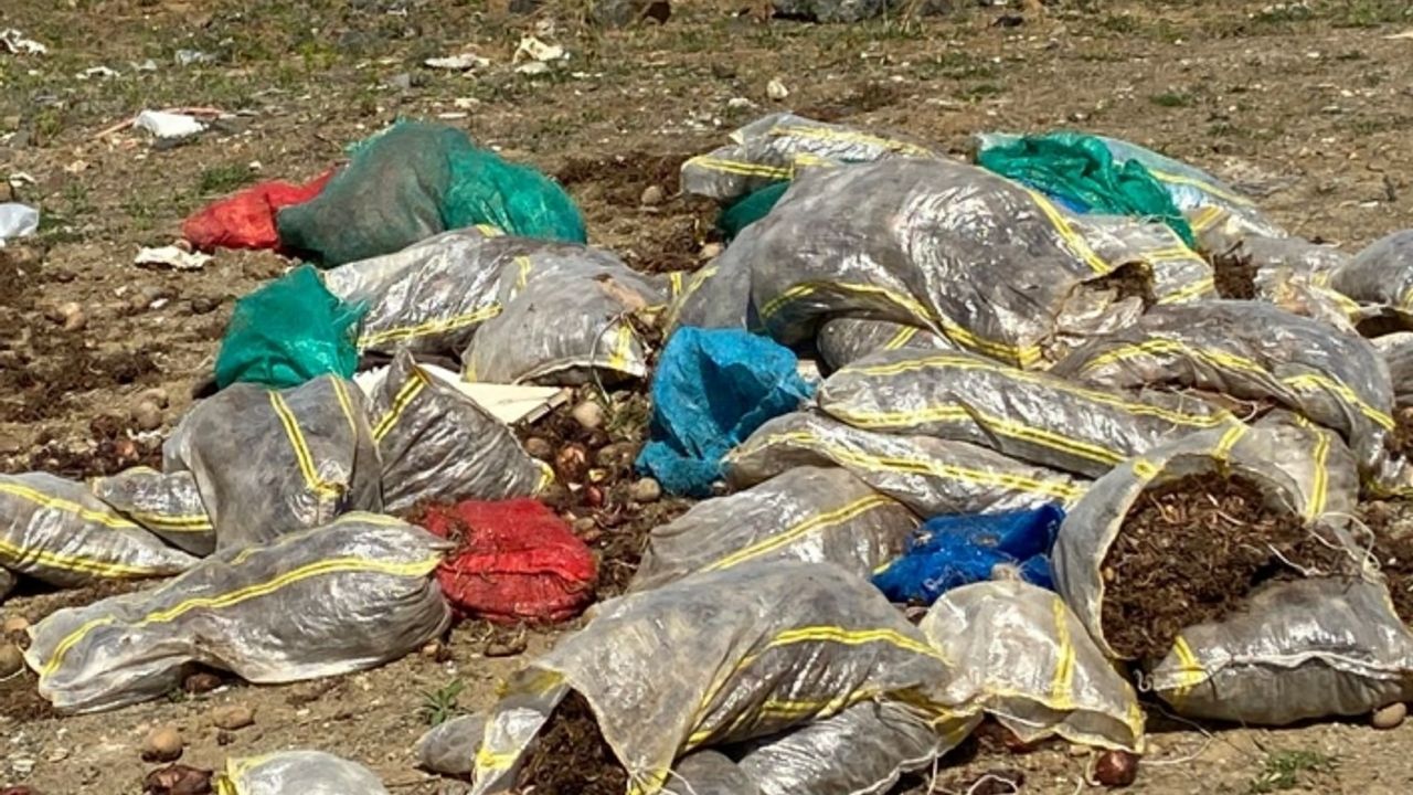 Trabzon sahilde çürük patates soğan çuvalları çıktı
