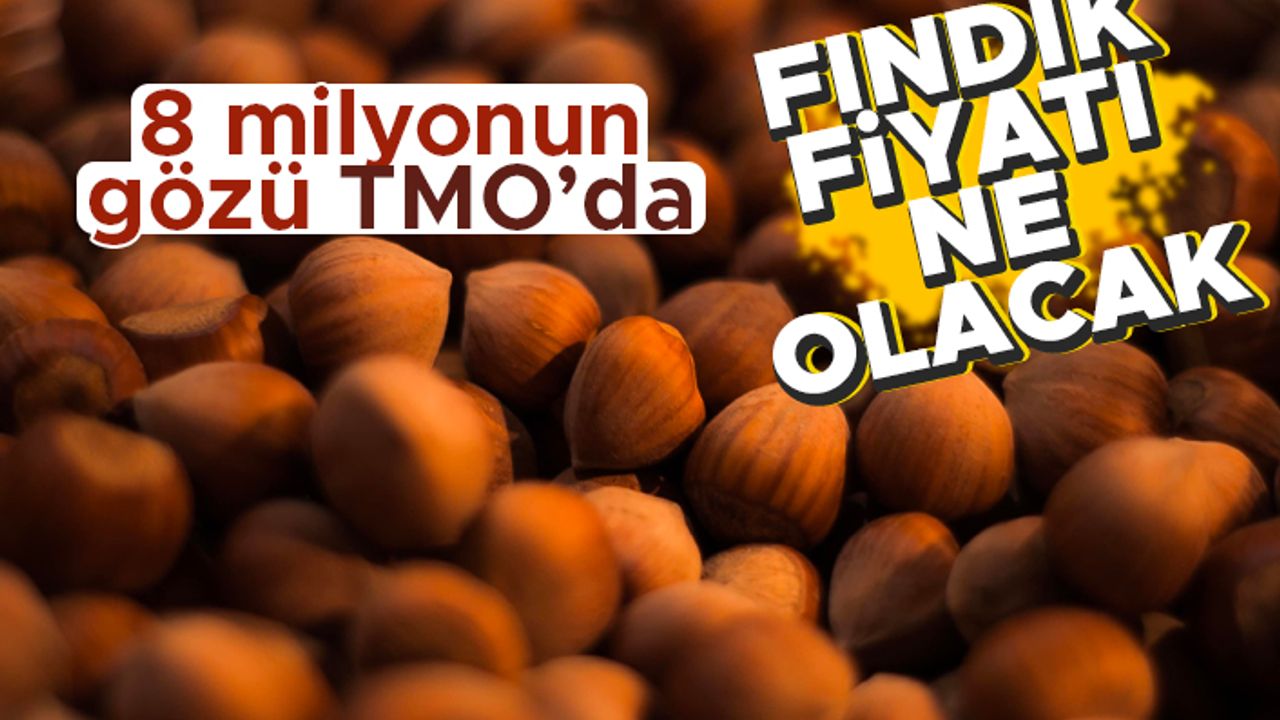 8 milyonun gözü TMO’da! Fındık fiyatı ne olacak?