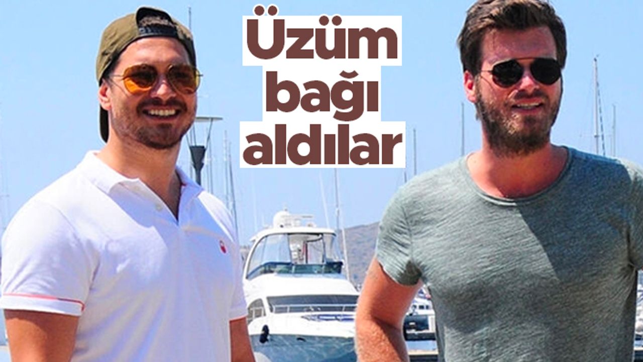 Çağatay Ulusoy ve Kıvanç Tatlıtuğ kolları sıvadı... Üzüm bağı aldılar