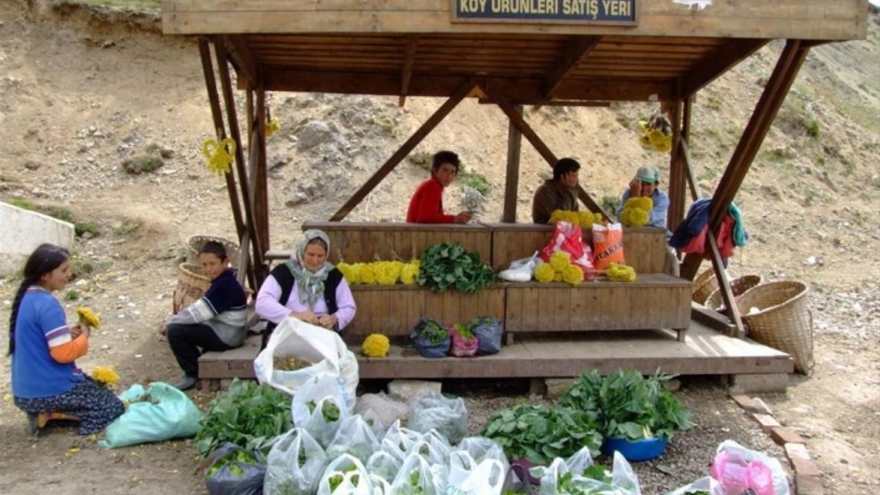 Doğu Karadeniz’deki yoksulluk arttı işte rakamlar
