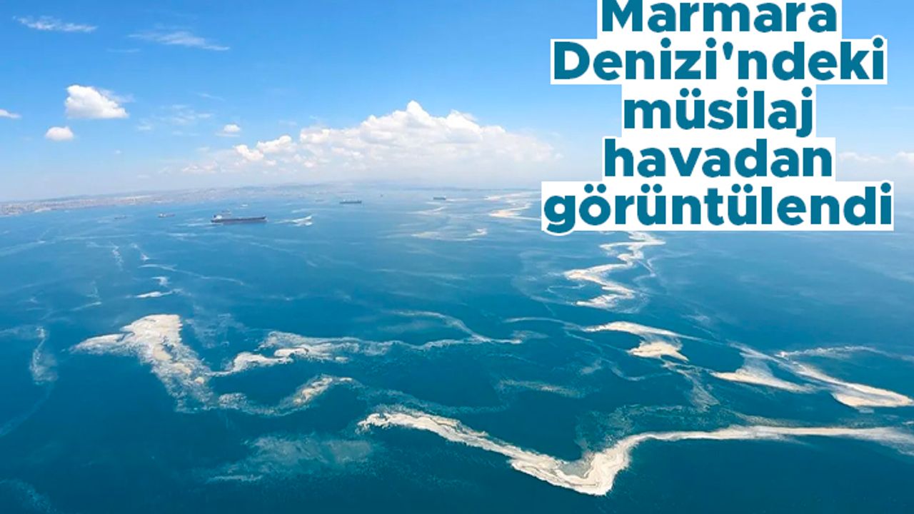 Marmara Denizi'ndeki mide bulandıran müsilaj havadan görüntülendi