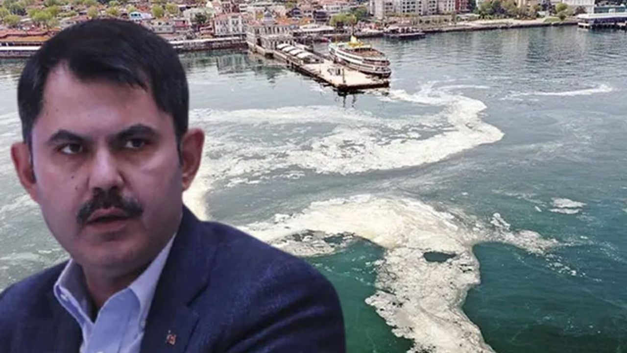 Müsilaj tehlikeli mi? Bakan Kurum ilk sonuçları açıkladı