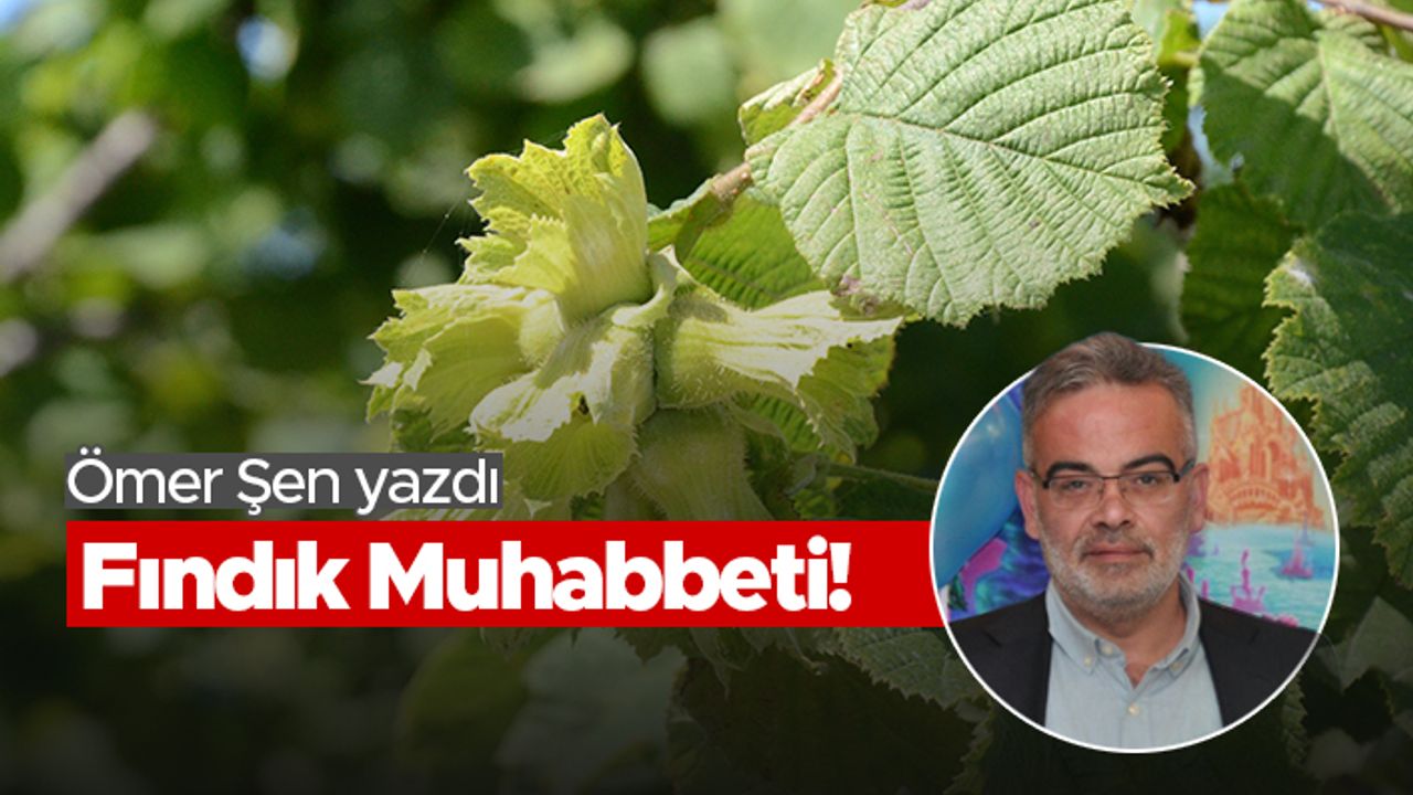 Ömer Şen: Fındık Muhabbeti!