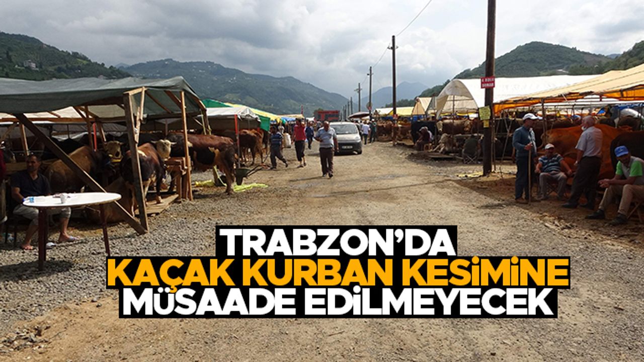 Trabzon'da kaçak kurban kesimine müsaade edilmeyecek