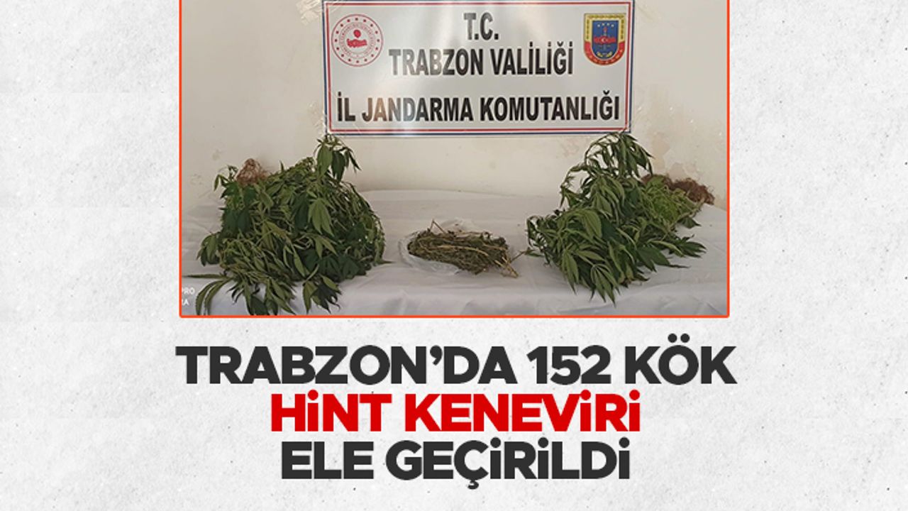 Trabzon’da 152 kök Hint keneviri ele geçirildi