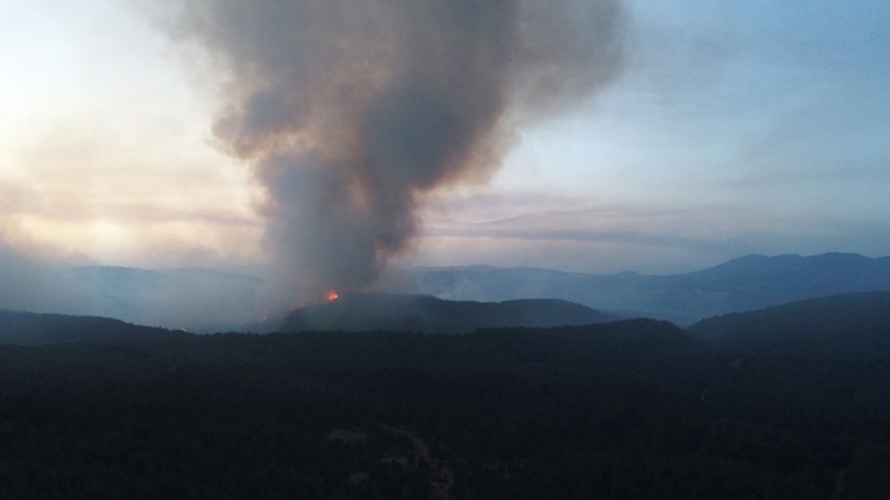Aydın-Muğla sınırında başlayan orman yangına müdahale sürüyor