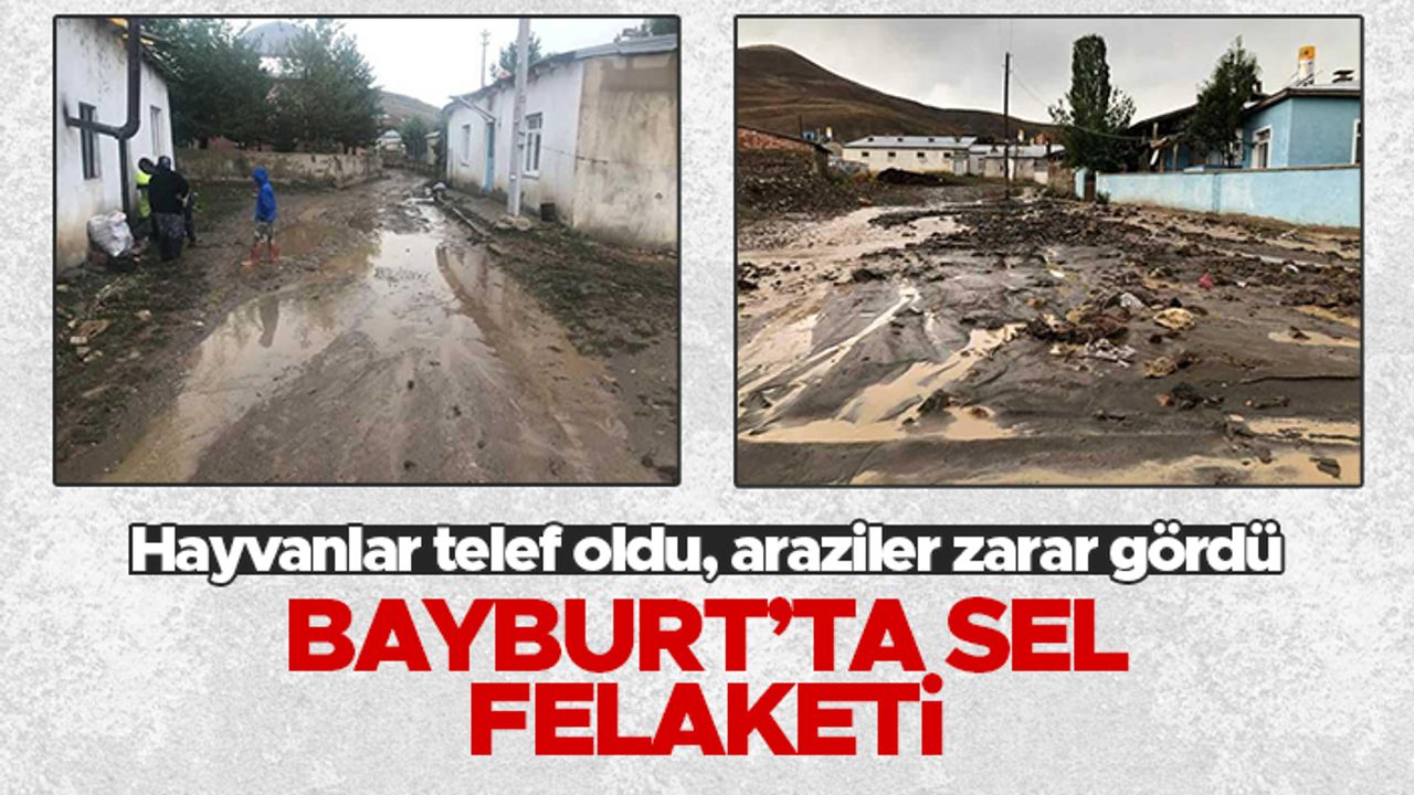 Bayburt'ta sel felaketi - Hayvanlar telef oldu, araziler zarar gördü