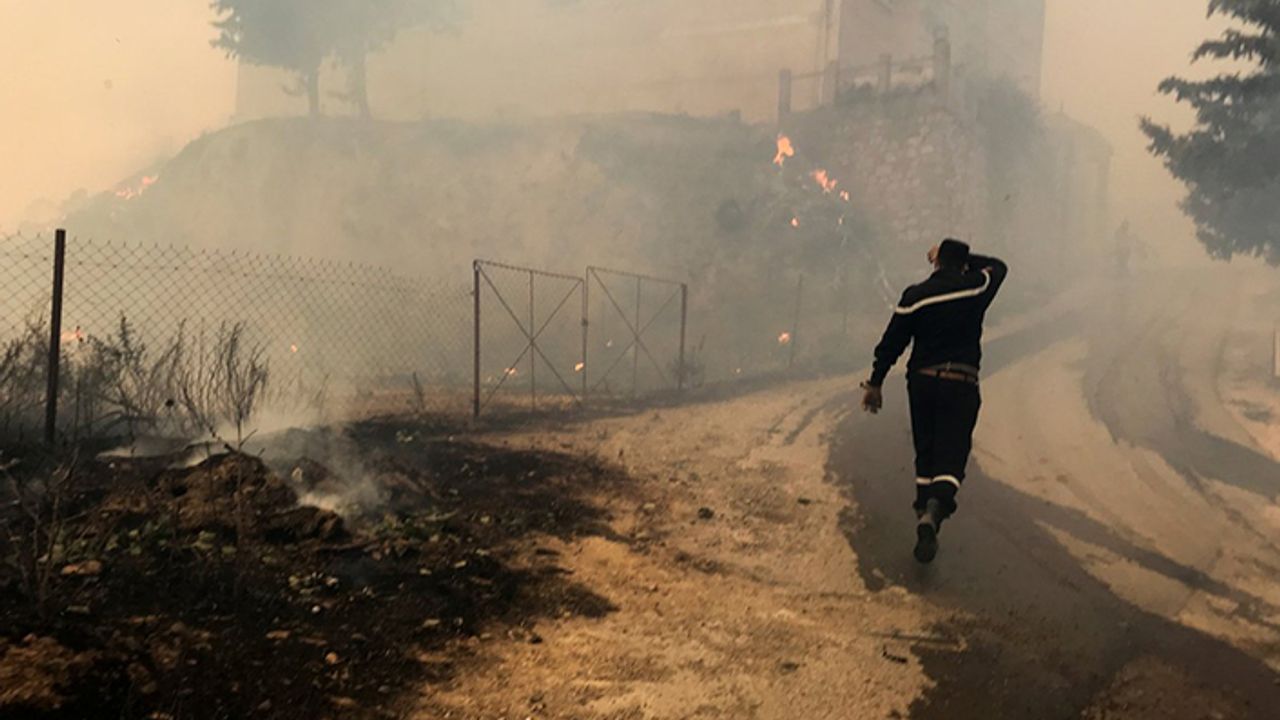 Cezayir'de orman yangınlarıyla ilgili 22 kişi gözaltında