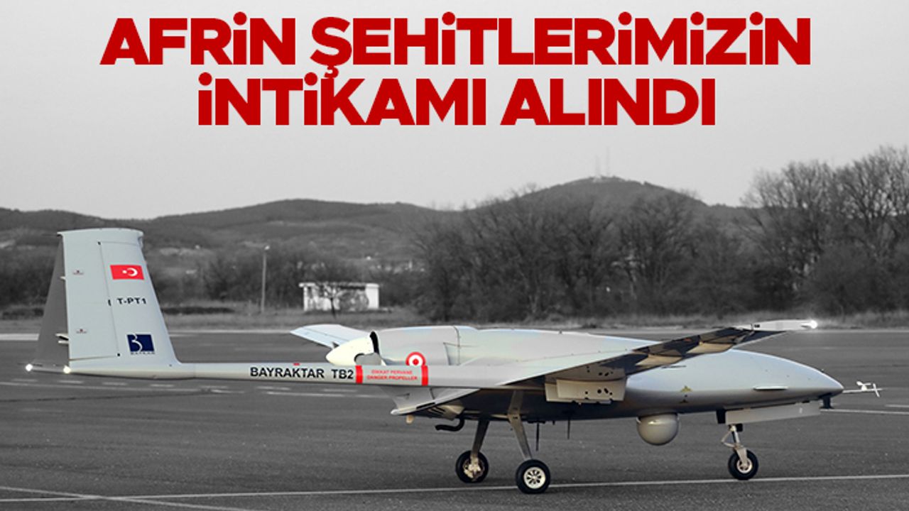 Mehmetçik'ten PKK'ya ağır darbe - Afrin şehitlerimizin intikamı alındı