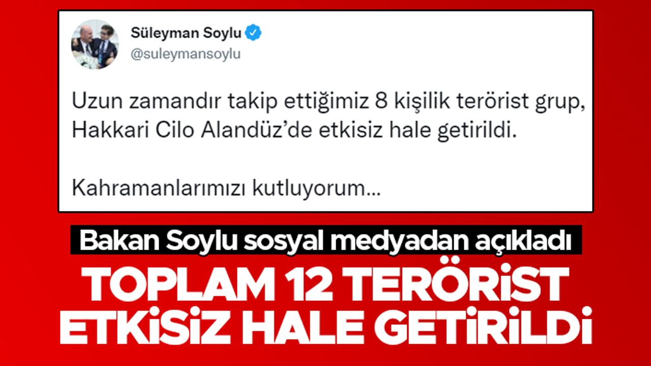 Mehmetçik'ten teröre darbe: Toplam 12 terörist etkisiz hale getirildi