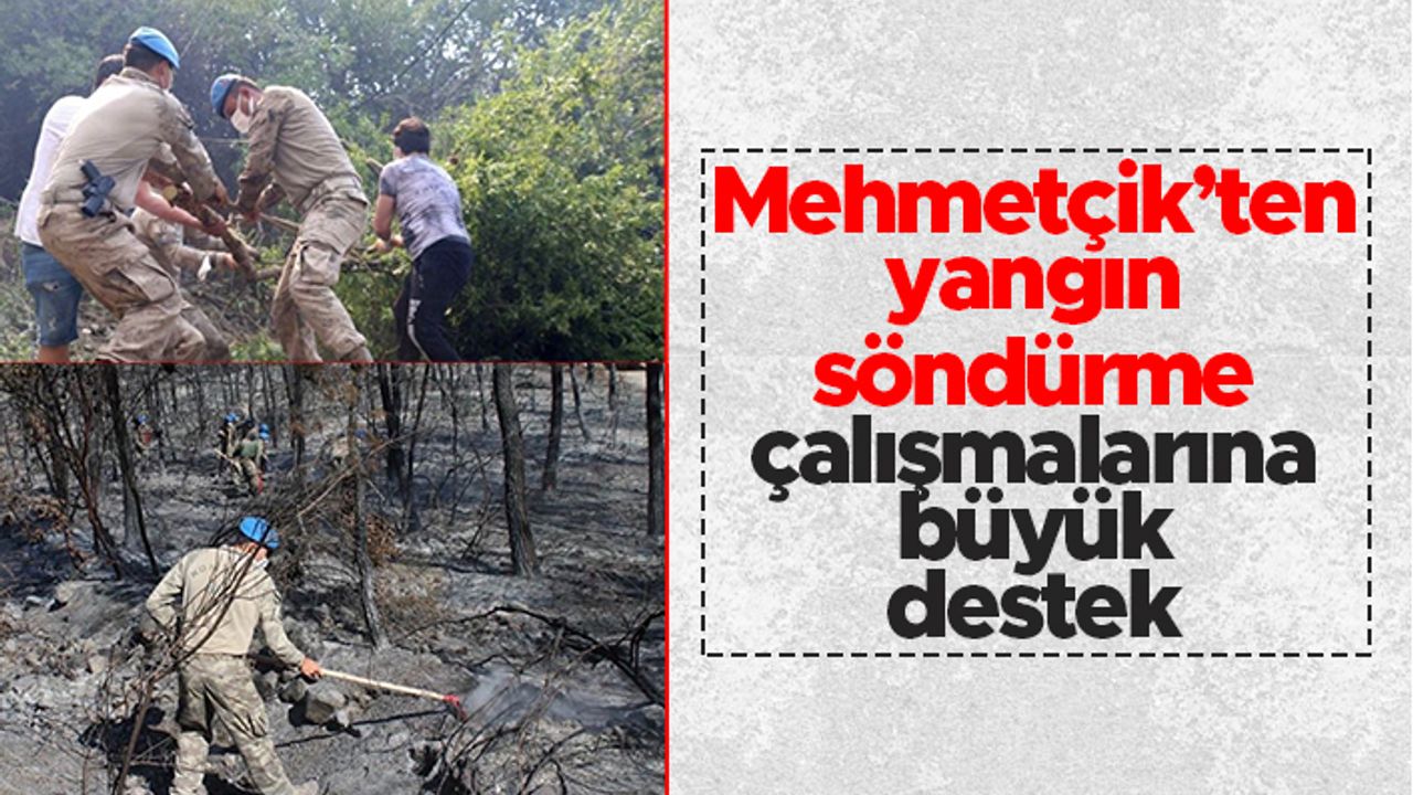 Mehmetçik’ten yangın söndürme çalışmalarına büyük destek
