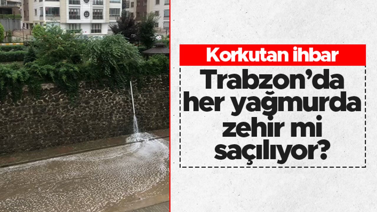 Trabzon'da her yağmurda zehir mi saçılıyor! - Korkutan ihbar