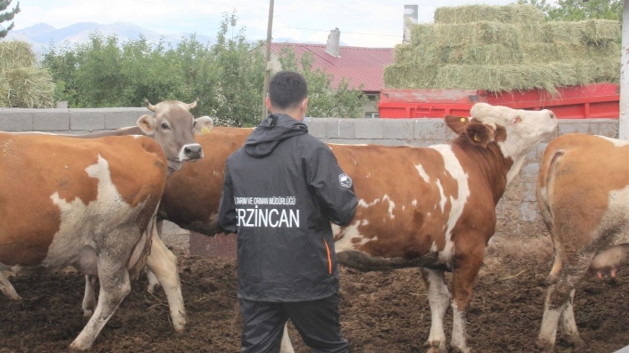 Erzincan’da “zoonoz” hastalıklar ile mücadele devam ediyor