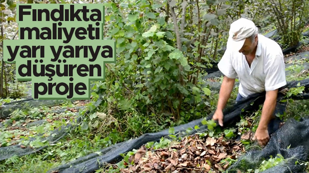 Fındıkta maliyeti yarı yarıya düşüren proje