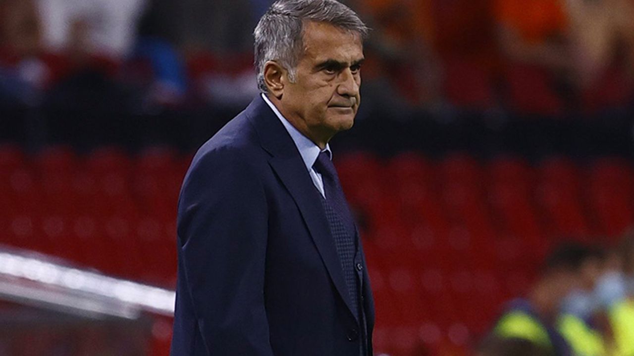 Hollanda'da 'Şenol Güneş istifa' sesleri