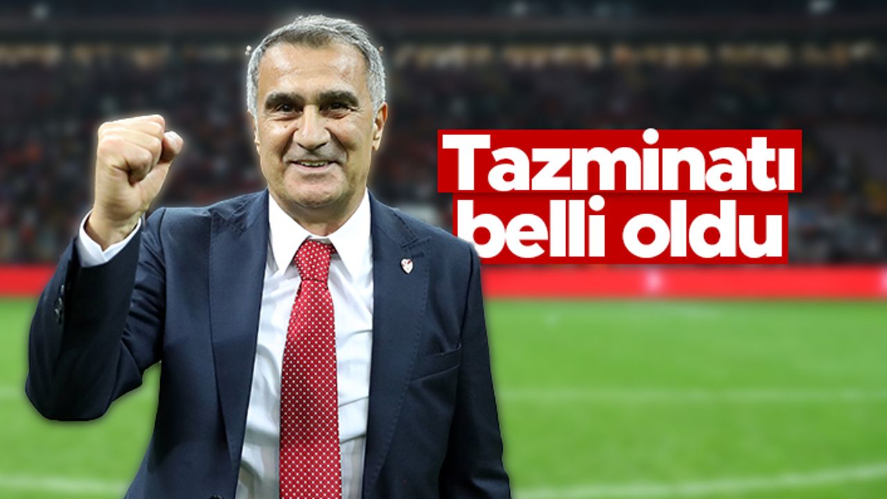 Şenol Güneş'in tazminatı belli oldu