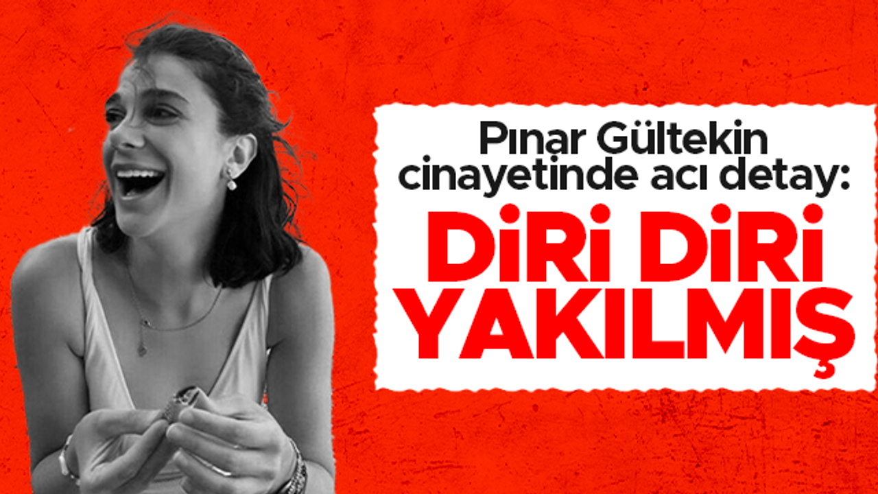 Pınar Gültekin cinayetinde acı detay: Diri diri yakılmış