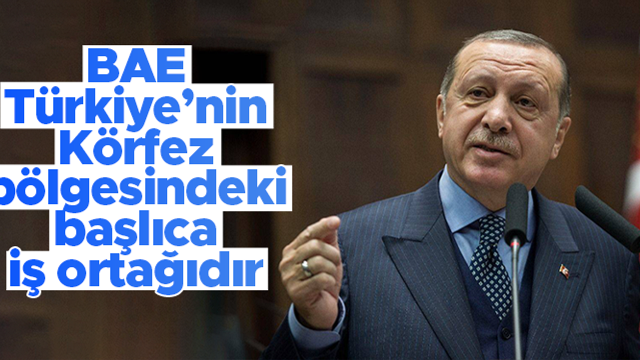 Cumhurbaşkanı Erdoğan: "BAE, Türkiye'nin Körfez bölgesindeki başlıca iş ortağıdır"