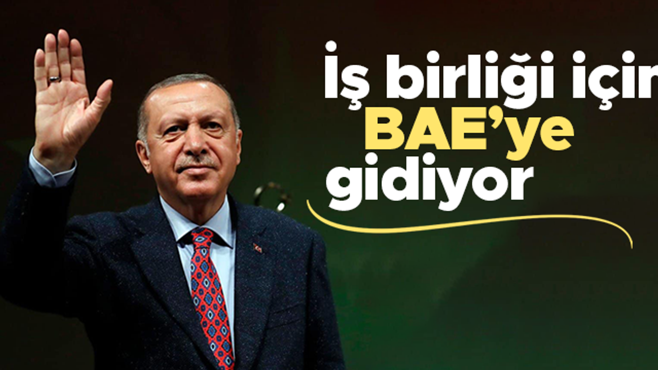 Cumhurbaşkanı Erdoğan, BAE basınına yazdı: Önümüzdeki günlerde işbirliği için geleceğim
