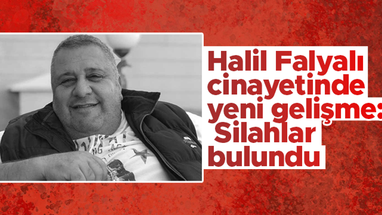 Halil Falyalı cinayetinde yeni gelişme: Silahlar bulundu