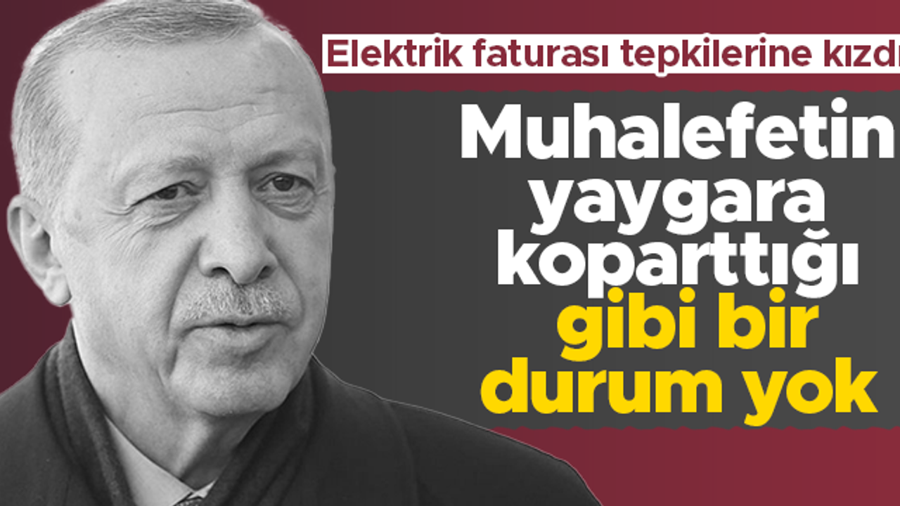 Cumhurbaşkanı Erdoğan'dan elektrik faturası tepkisi: Yaygara koparttıkları gibi bir durum yok