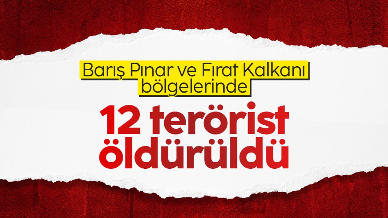 Barış Pınarı ve Fırat Kalkanı bölgelerinde 12 terörist öldürüldü