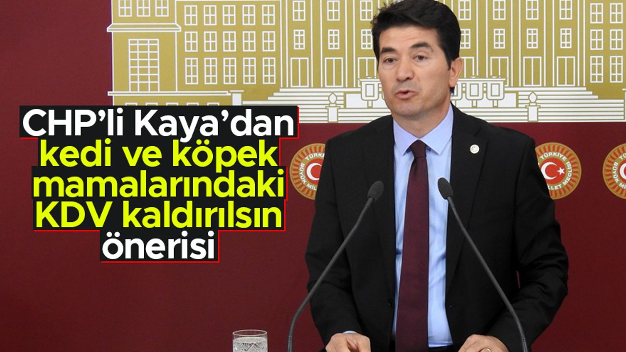 CHP'li Ahmet Kaya'dan kanun teklifi: Kedi ve köpek mamalarındaki KDV yüzde 1'e düşürülsün