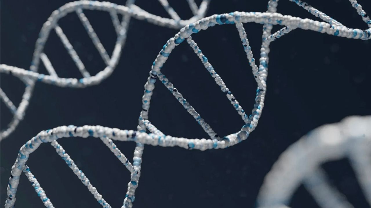 İnsanın gen haritası çözüldü: Bilim dünyasını heyecanlandıran buluş