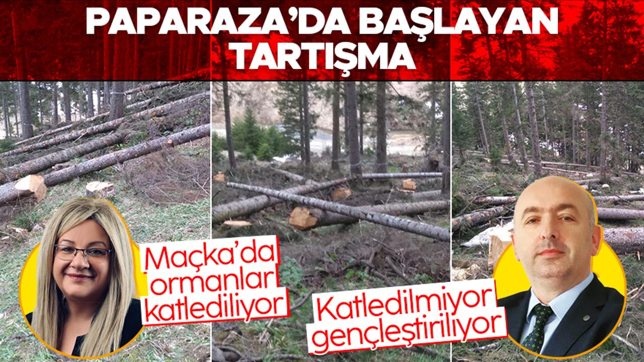 CHPli Nihan Göktürk'ün 'ormanlarımız' katlediliyor iddiasına Orman Mühendisleri Odası'ndan tepki