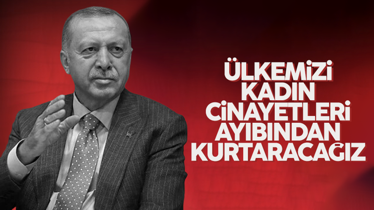 Cumhurbaşkanı Erdoğan: Ülkemizi kadın cinayetleri ayıbından kurtaracağız