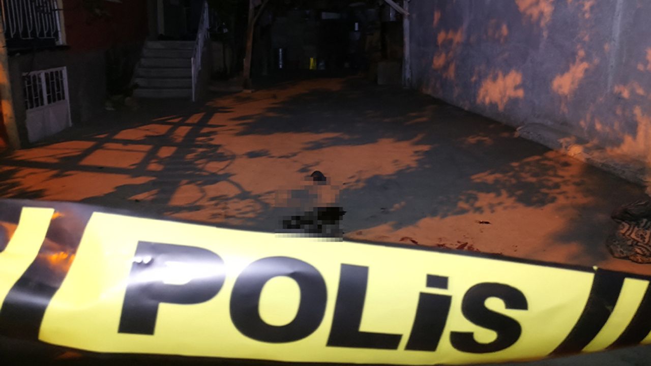 Kadıköy’deki diş hekimi cinayetinde 1 şüpheli tutuklandı