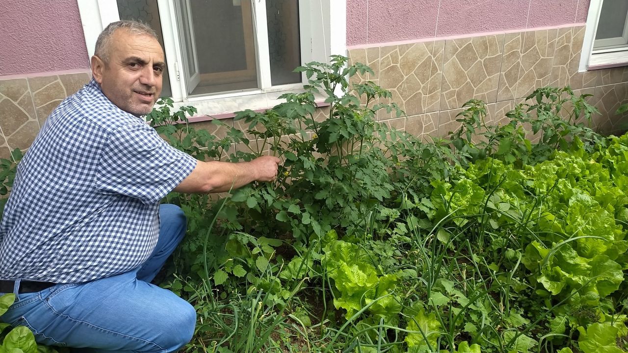 Trabzon'lu Müezzin cami bahçesini sebze tarlasına çevirdi