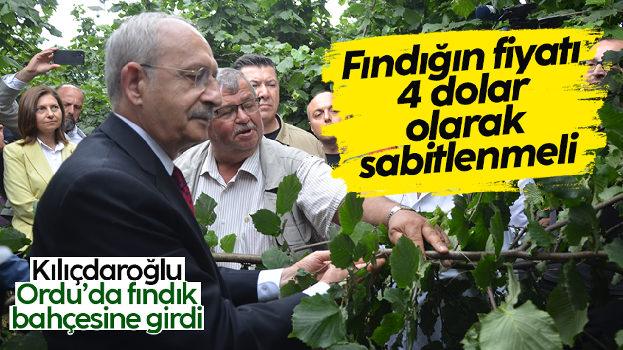 CHP lideri Kemal Kılıçdaroğlu: Fındık, bu bölgenin stratejik ürünüdür; bölgenin sorununu çözeceğiz