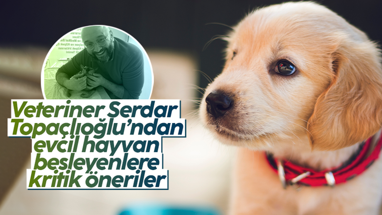 Veteriner Hekim İsmail Serdar Topaçlıoğlu'ndan evcil hayvan besleyenlere tavsiyeler