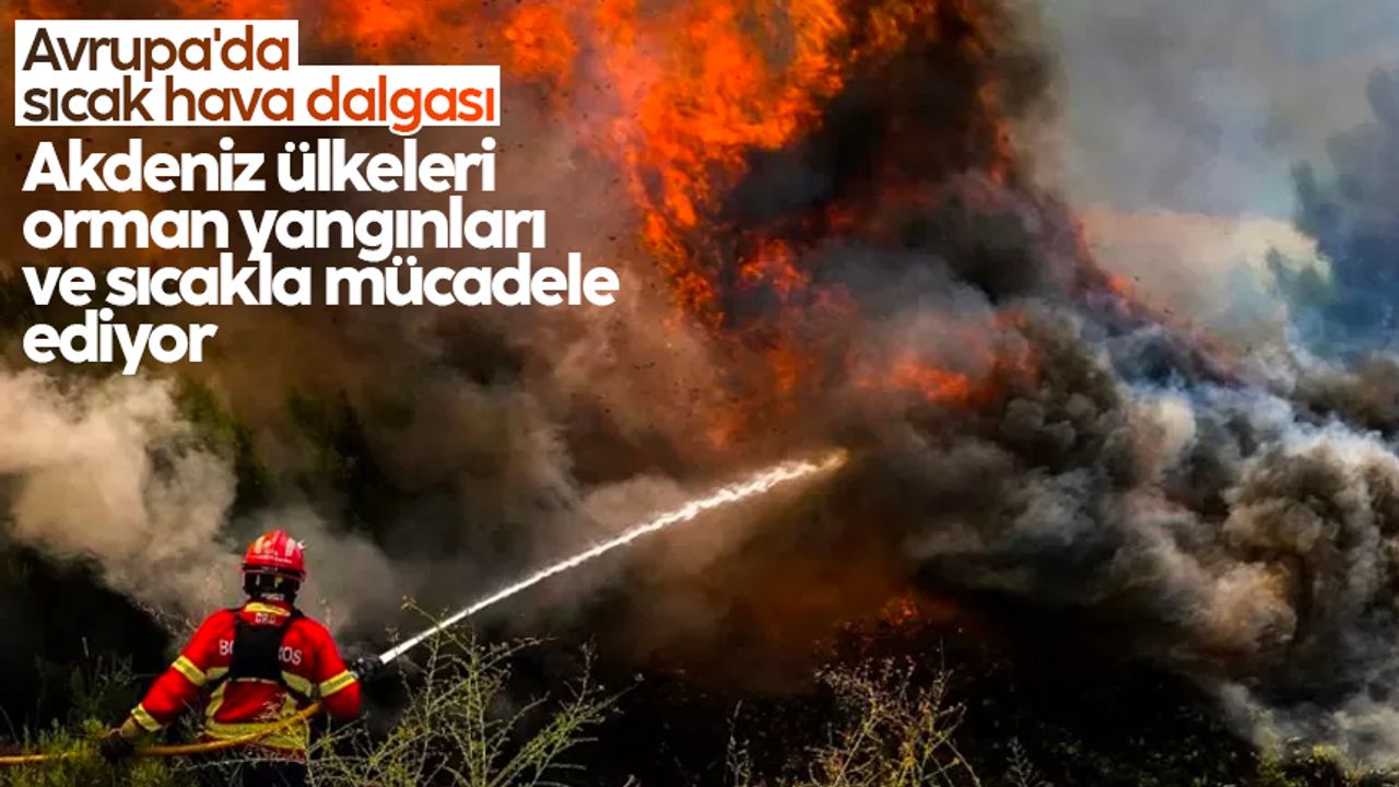 Avrupa'da sıcak hava dalgası: Akdeniz ülkeleri orman yangınları ve sıcakla mücadele ediyor