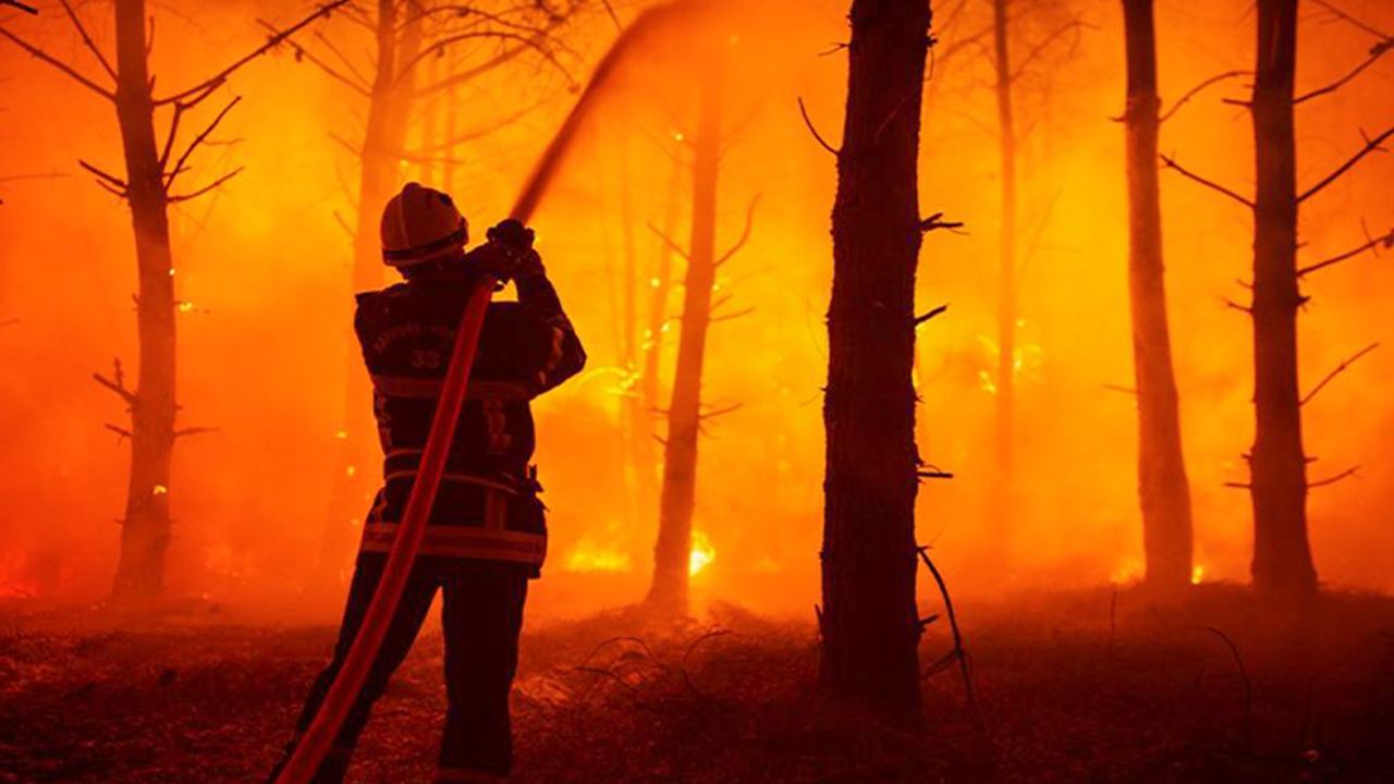 Fransa'daki orman yangınlarında 19 bin 300 hektar alan kül oldu
