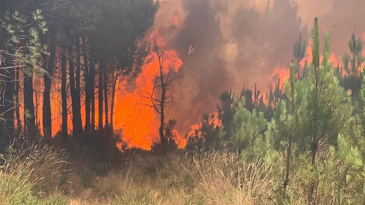 Fransa'daki orman yangınlarında yaklaşık 4 bin hektar alan kül oldu