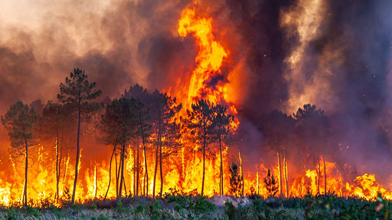 İspanya’da 30 farklı noktada yangınla mücadele sürüyor