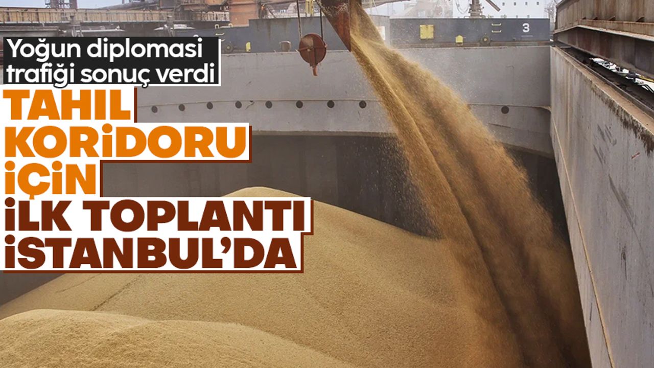 Ukrayna’dan tahıl koridoru için İstanbul’da 4’lü zirve