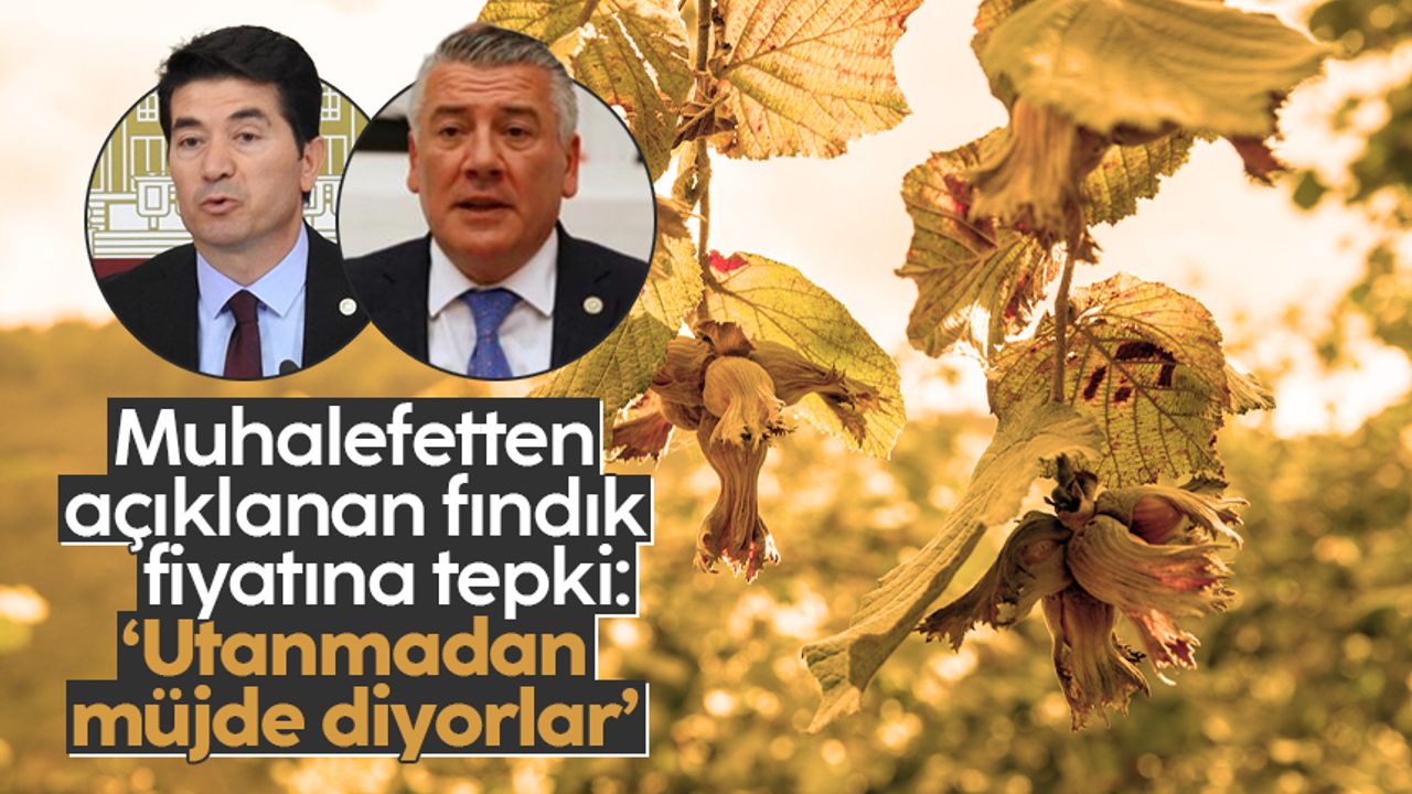 CHP'li Ahmet Kaya ve İYİ Parti'li Hüseyin Örs'ten açıklanan fındık fiyatına tepki