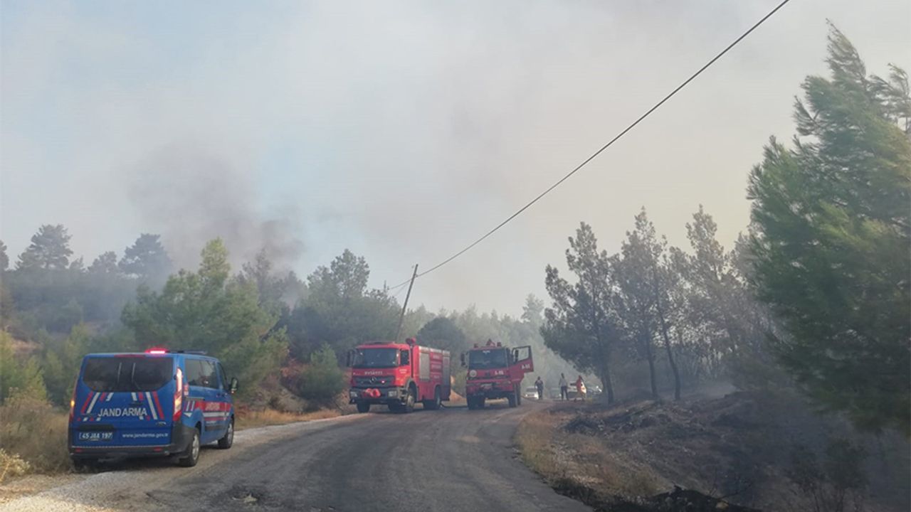 Manisa’daki orman yangını kontrol altına alındı