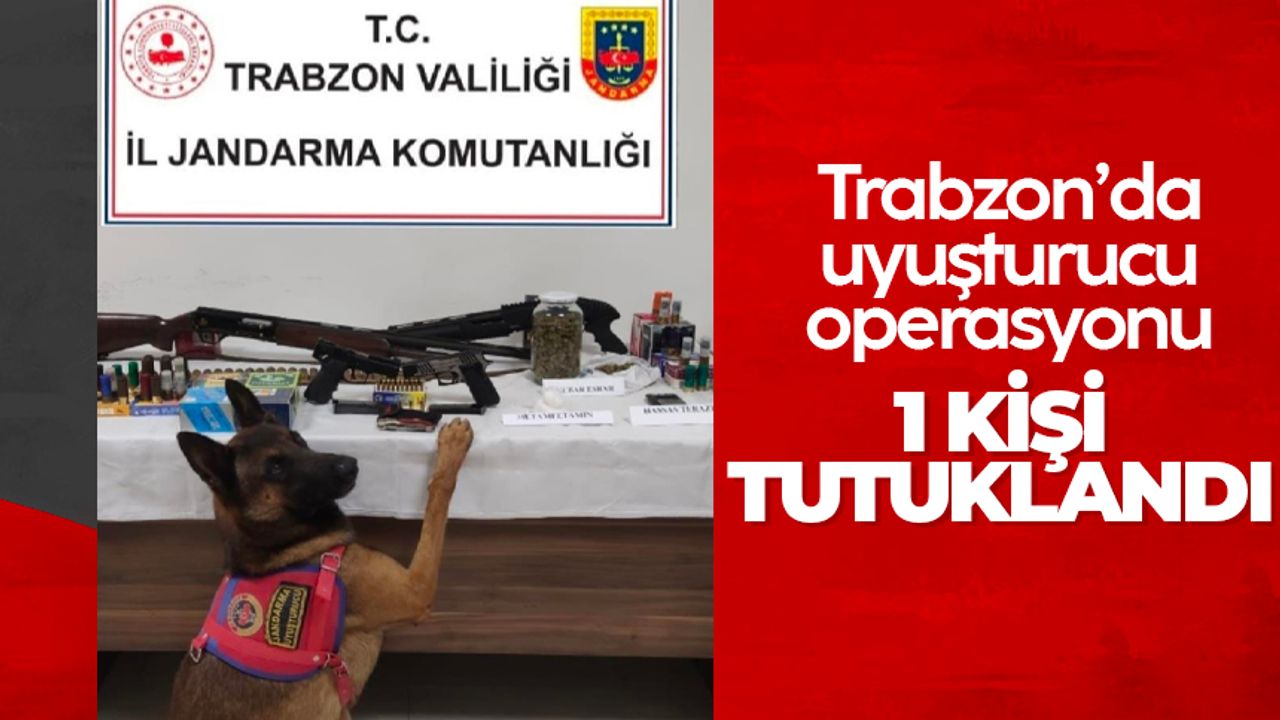Trabzon'da uyuşturucu operasyonu: 1 kişi tutuklandı