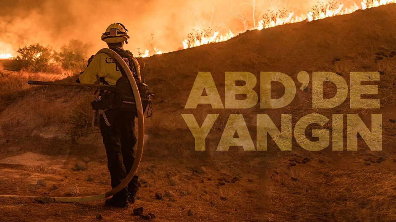 California'da orman yangınları sürüyor