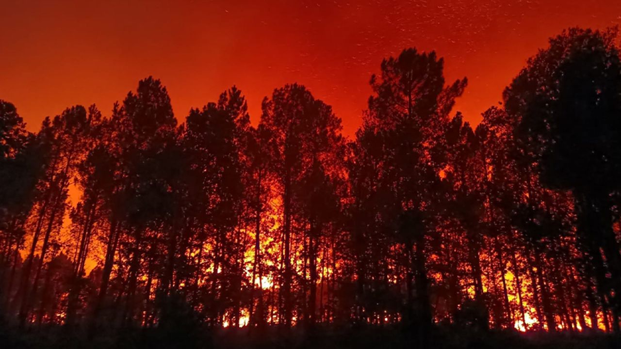 Fransa'da orman yangını evlere sıçradı