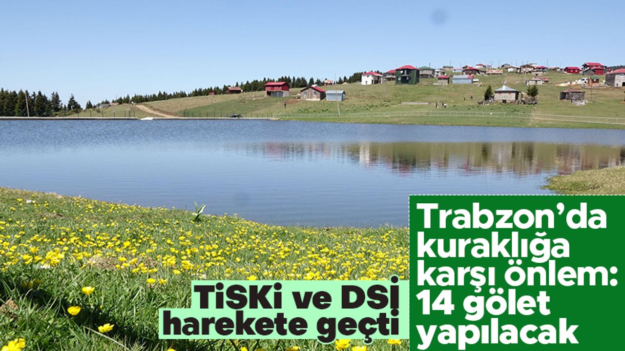 Trabzon'da kuraklığa karşı 14 gölet yapılacak