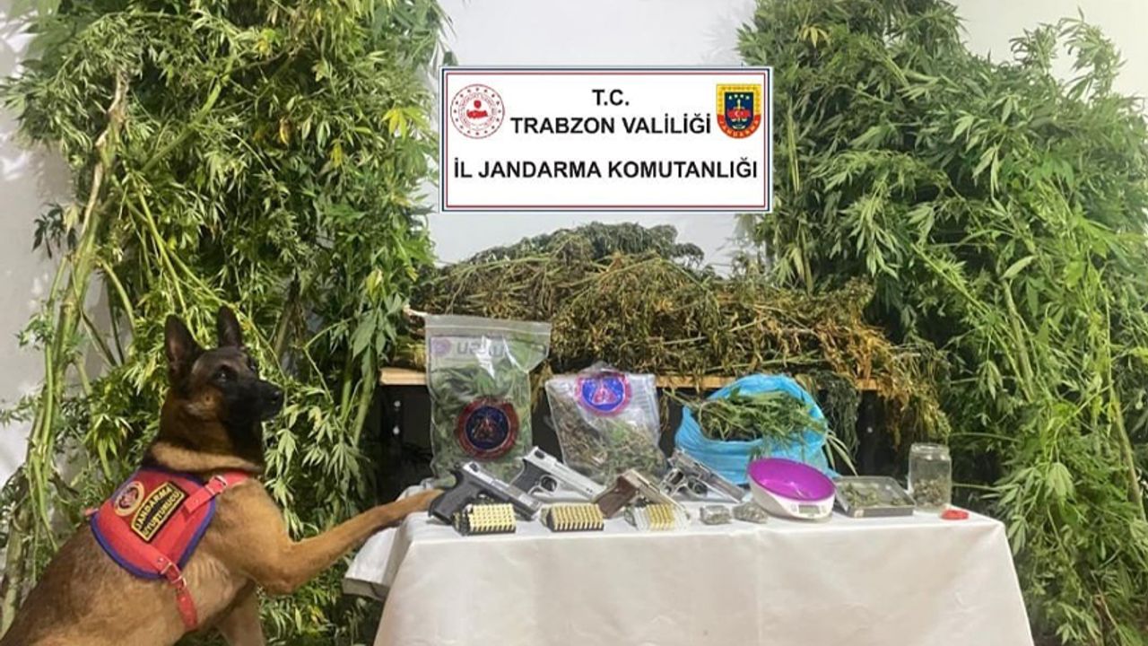 Trabzon'da jandarmadan uyuşturucu operasyonu: 10 bin 140 gram kubar esrar ile 210 gram toz esrar ele geçirildi