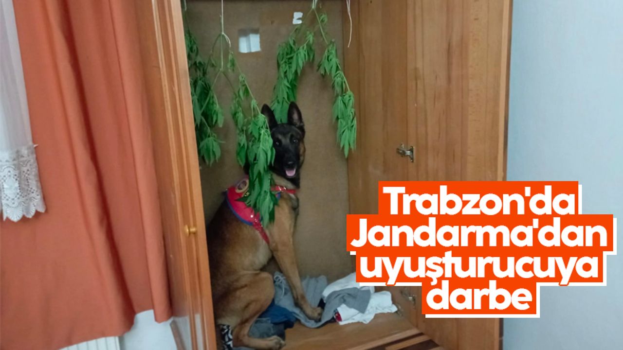 Trabzon'da Jandarma'dan uyuşturucuya darbe